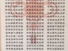 -百好乐宠物友好餐厅(朝外大街店)