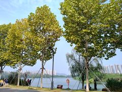 -洋湖国家湿地公园