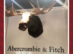 -Abercrombie&Fitch(德基广场店)