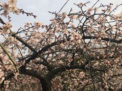 -白塘生态植物园