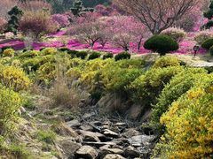 -石岛赤山风景区