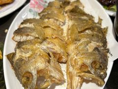 -金泽大酒店·卢塞恩餐厅·年夜饭春节连市