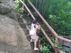 -天女山森林公园