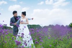 -苏菲雅婚纱摄影(环城南路店)