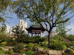 -和平公园