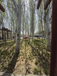 -大望京儿童游乐场