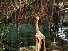 -石家庄市植物园