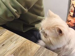 -小时光咖啡馆(开森度假森林店)