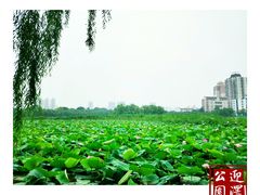 -迎泽公园