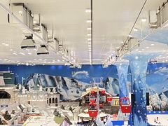 -长沙湘江冰雪世界