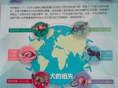 -派美特宠物医院·核磁CT·骨科肿瘤·疑难转诊(沈农禾丰店)