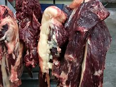 -辉煌牛肉杂园
