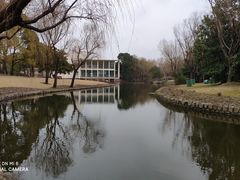 -上海滨江森林公园