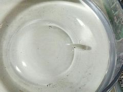 -比尔斯健康烤肉自助餐厅