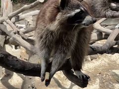 -宁波野生动物园