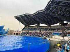 -上海海昌海洋公园