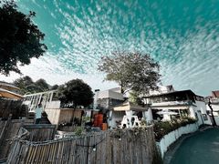 -龙坞茶村