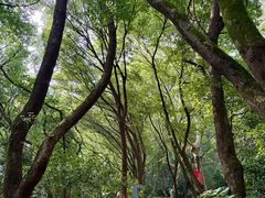 -杭州半山国家森林公园