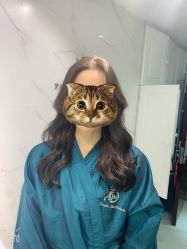 -潘多拉Hairsalon