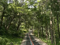 -第一山景区