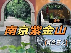 -紫金山山顶公园