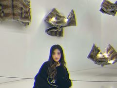 -金茂览秀城