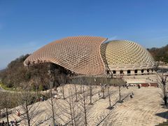 -牛首山文化旅游区