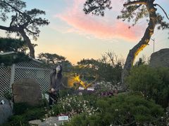 -罗红摄影艺术馆