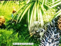 -新影联·华谊兄弟影院(望京店)