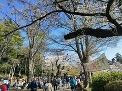 -井之头恩赐公园