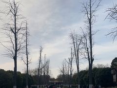 -明故宫遗址公园