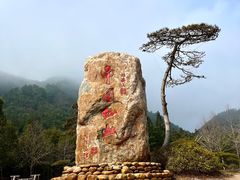 -姑婆山旅游区