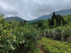 -太阳湾风景区