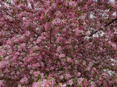 -蓝地时尚庄园(北京清河营地铁站店)