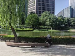 -陆家嘴中心绿地