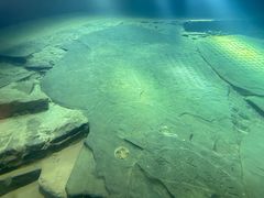 -白鹤梁水下博物馆