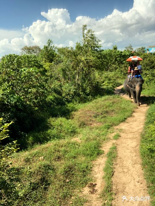 海景大象营图片 - 第6张