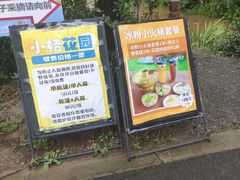 -前小桔亲子创意农场·草莓采摘·露营烧烤
