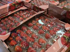 -麦德龙(十里河店)