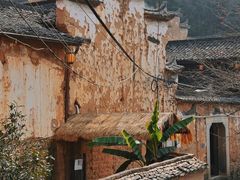 -杨家堂村