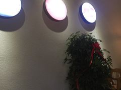 -川椒媚双椒烤鱼(鑫江东方城购物中心店)