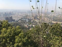 -杭州半山国家森林公园