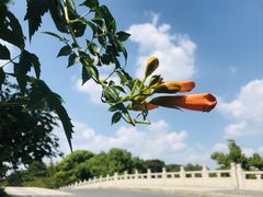 -广富林郊野公园