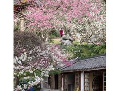-杭州植物园