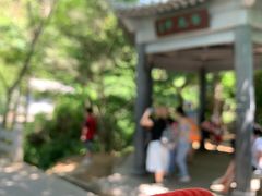 -羚羊峡古栈道森林公园