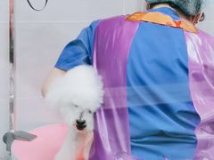 -宠福鑫康馨动物医院·骨科·眼科