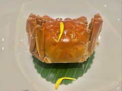 -九福楼大酒店