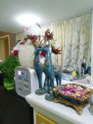 -久匠·纹眉半永久野生眉