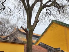 -宝通禅寺