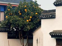 -丝绸小镇荻港古村